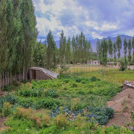 Tsetan Guest House Leh Exterior foto